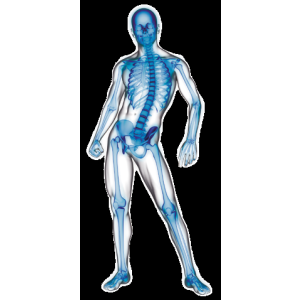 OSTEO+